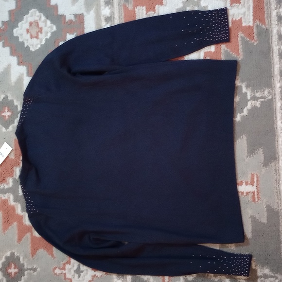 Ann Taylor Factory beaded sweater NWT - L - Picture 4 of 7